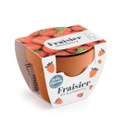 Radis et Capucine || Mini Kit Jardinage – Fraise