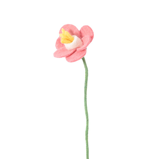 AVEVA DESIGN || Fleur En Laine Éternelle – Jonquille Raspberry