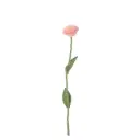 AVEVA DESIGN || Fleur En Laine Éternelle – Rose Peach 