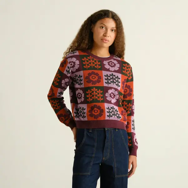DEDICATED || Pull Arendal Nature Check – Multicolore