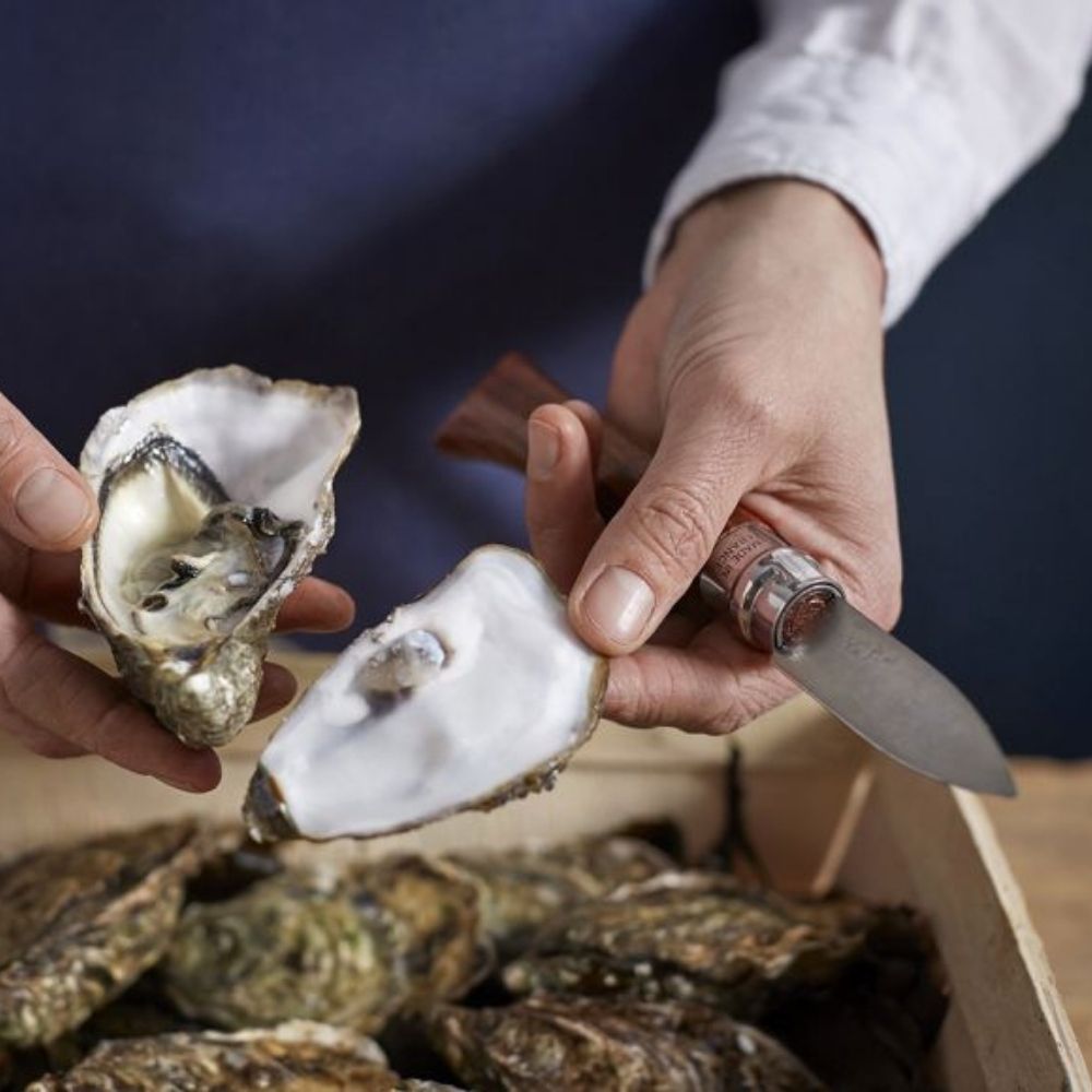 Opinel | Couteau à Huîtres N°9 Padouk