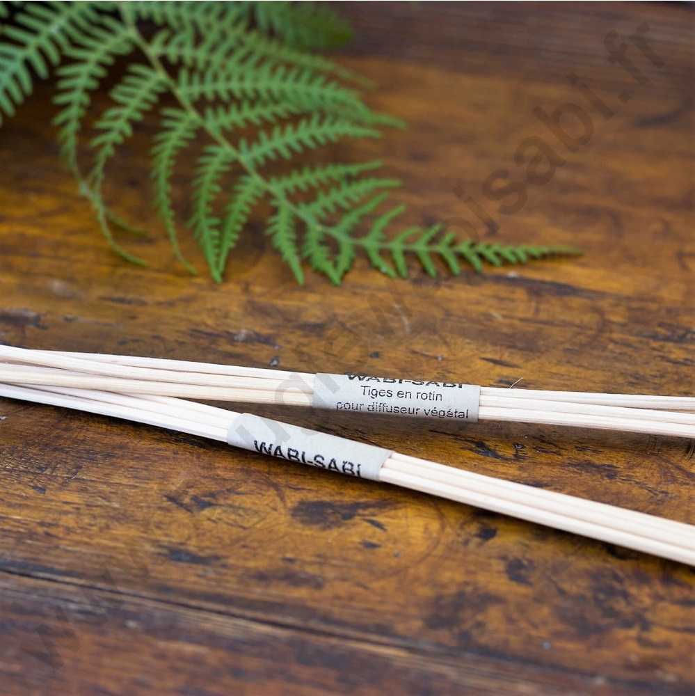 [WAB-AR00055] WABI SABI || Lot de 6 Tiges en Rotin