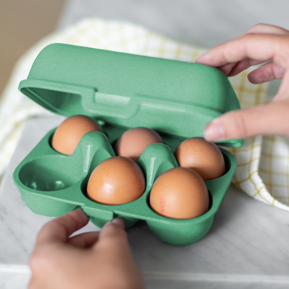 [KOZ-7186703] Koziol | Petite Boîte à Oeufs - Green
