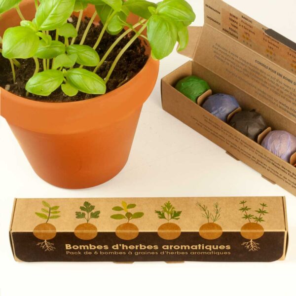 [RES-Frst194] RESETEA || Pack de 6 Bombes à Graines d’Herbes Aromatiques