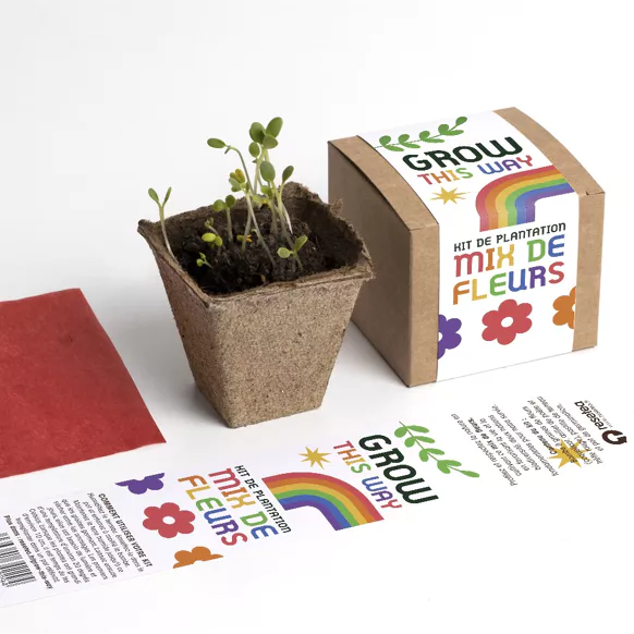 [RES-Frst229] ReseTea | Kit Mix de fleurs- Grow this way