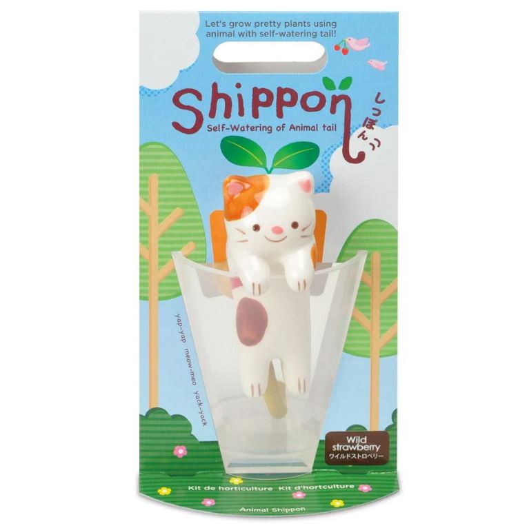 [NOT-GD660EU-CHAT] NOTED | Shippon -  Cat (Fraise sauvage)