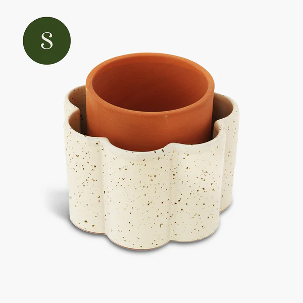 PEPIN || Pot autonome Paulita – Blanc graine