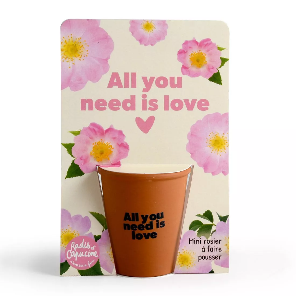 [RDC- PF143430] Radis et Capucine || Kit jardinage "All you need is love" – Rosier